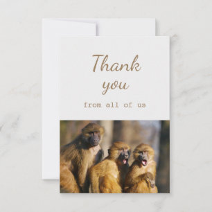Thank You From All of Us Monkeys Animal Fun Card