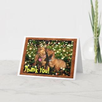 Thank You! From one Dachshund to another.......... Thank You Card