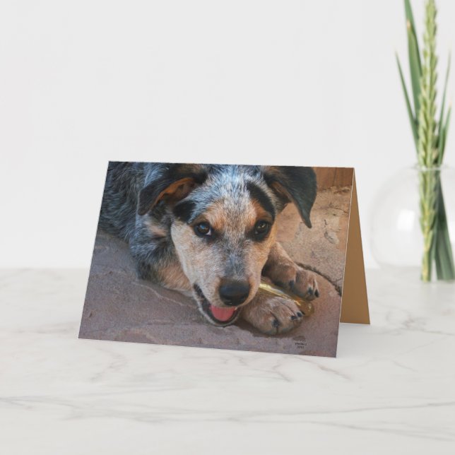 Thank you from the Heart - Dog Lover Card (Front)