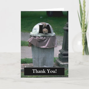Thank You Funny Squirrel Card