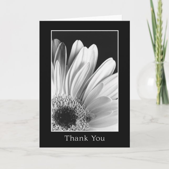 Thank You - Gerber Daisy Greeting Card (Front)