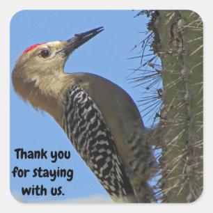 Thank You Gila Woodpecker Photo House Guest Square Sticker