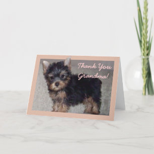 Thank You Grandma Yorkshire puppy card