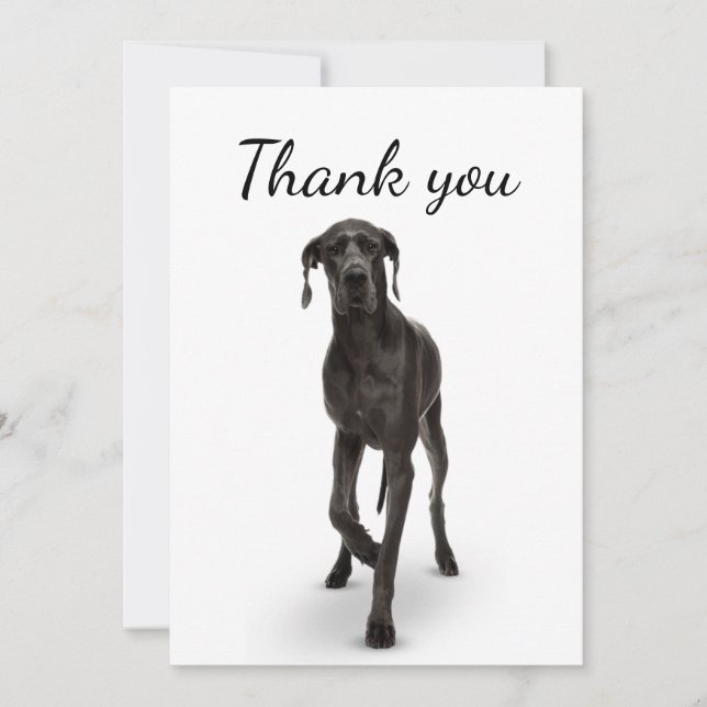 Thank You Great Dane Dog Pet Animal  (Front)