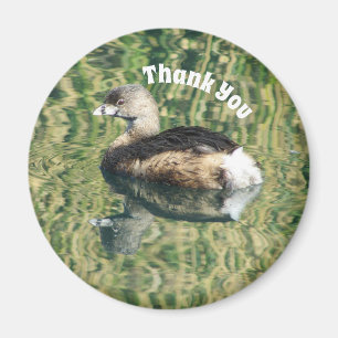 Thank You Grebe and Reflection Photo Appreciation Magnet