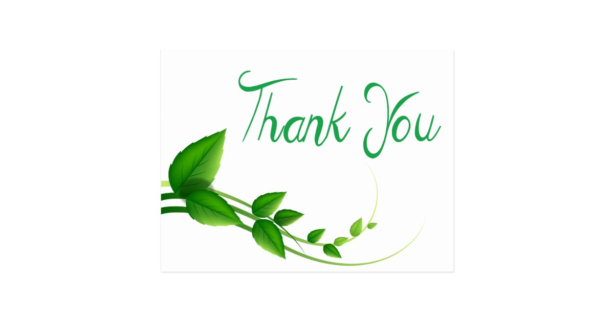 Thank You Green And White Leaf Nature Postcard | Zazzle.ca