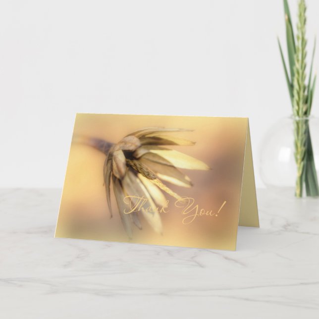 Thank You Greeting Card - Tulip Poplar Seed Pod (Front)
