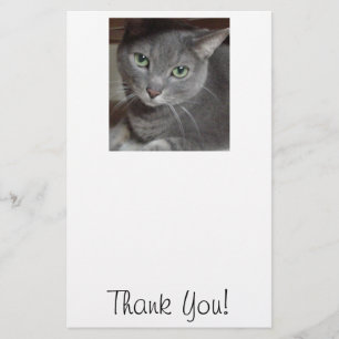 Thank You/Grey Cat Stationery