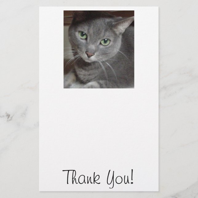 Thank You/Grey Cat Stationery (Front)