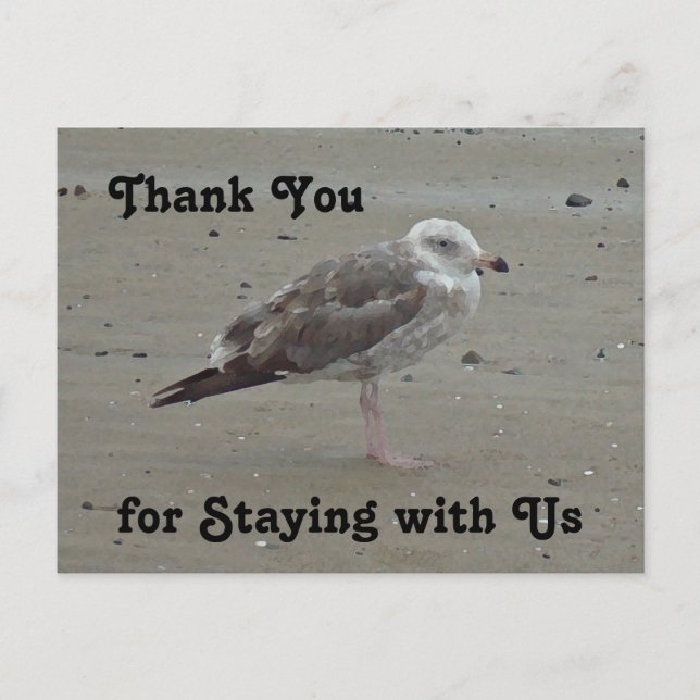 Thank You Guest Beach House Rental Painted Seagull Postcard (Front)