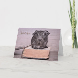 Thank You Guinea Pig Sat on a Book Card