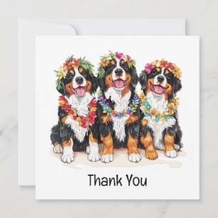Thank You Hawaiian Bernese Mountain Dogs Card