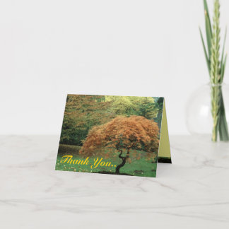 Thank You.. Holiday Card