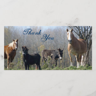 Thank You- Horses, Pony, and Donkey Photocards You Card