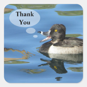 Thank You Humourous Duck Appreciation Square Sticker