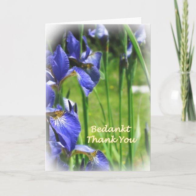 Thank You in Dutch and English Card (Front)