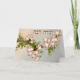 Thank You in Hebrew ~Todah Rabah ~