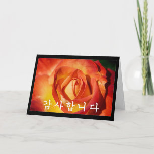 Thank you in Korean - orange rose Card