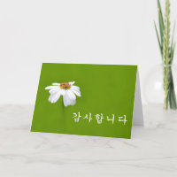 Thank you in Korean - white daisy