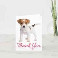 Thank You Jack Russell Terrier Puppy Dog Blank