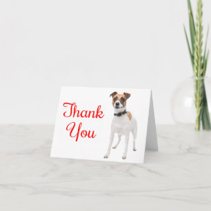 Thank You Jack Russell Terrier Puppy Dog Note Card