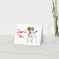 Thank You Jack Russell Terrier Puppy Dog Note Card