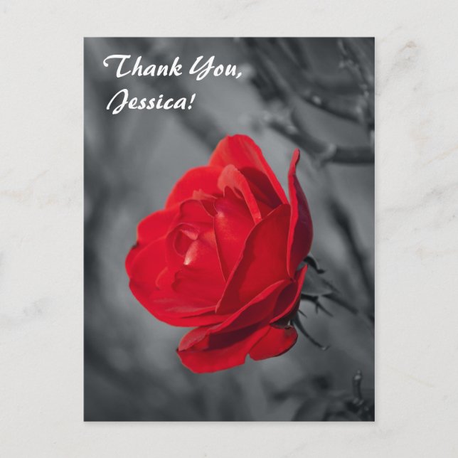 Thank You, Jessica! Postcard (Front)