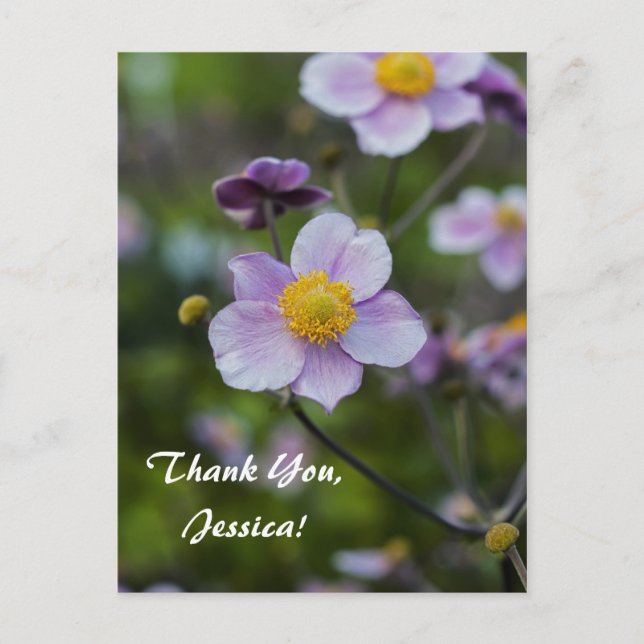 Thank You, Jessica! Postcard (Front)
