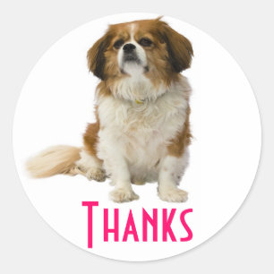 Thank You King Charles Spaniel Puppy Sticker