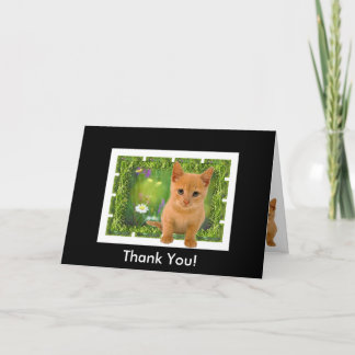 Thank you Kitten Card