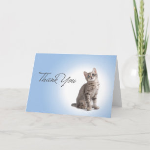 Thank You Kitten on Blue