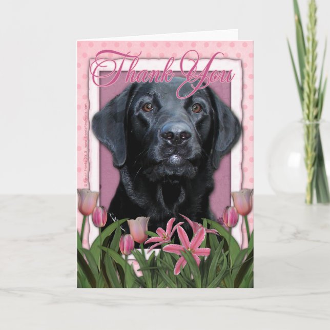 Thank You - Labrador - Black - Gage (Front)