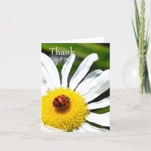 Thank you Ladybug Card