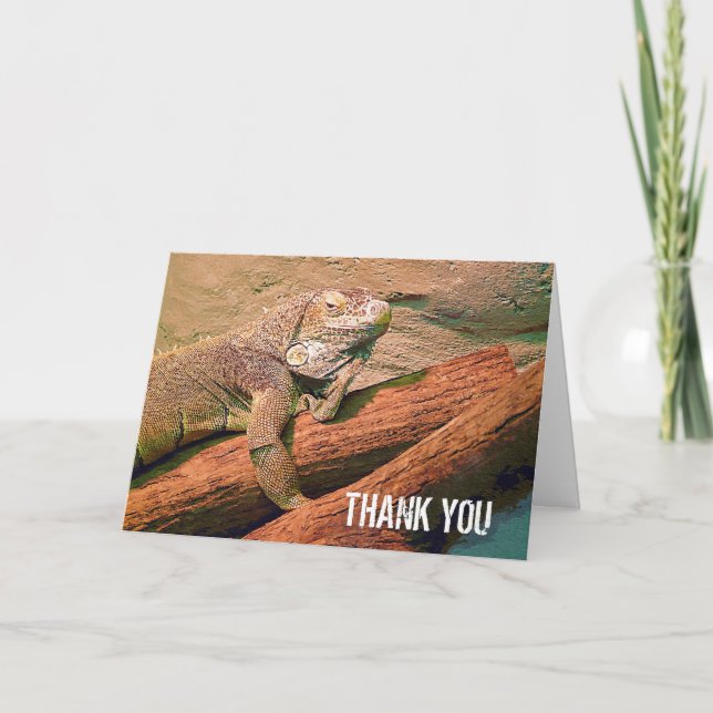 Thank You  - Lazy Lizard (Front)