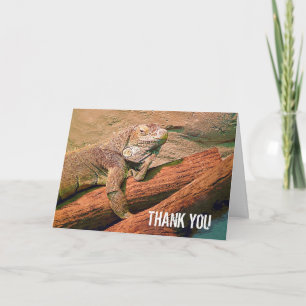 Thank You - Lazy Lizard Card