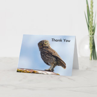 Thank You Little Owl Card