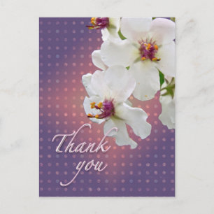 Thank You Moth Mullein Wildflower Postcard