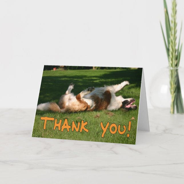 Thank You Munchkin (Front)