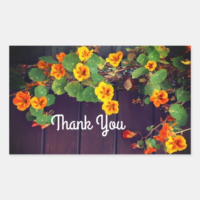 Thank You Nasturtium Stickers (Front)