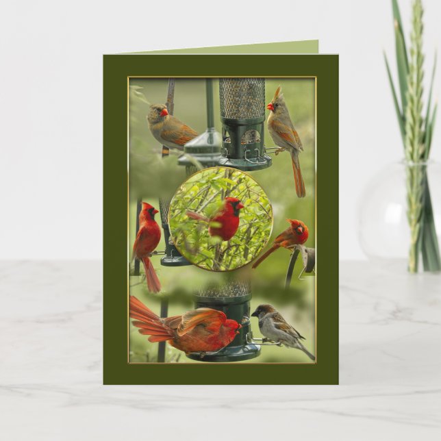 Thank You, Northern Male & Female Red Cardinals Card (Front)