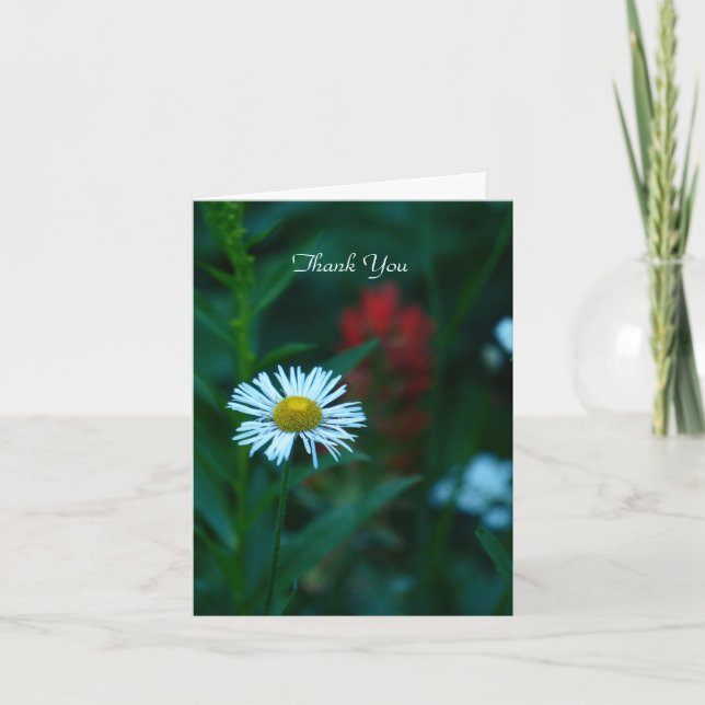 Thank You Note Card, White Daisy, Blank Inside Card (Front)