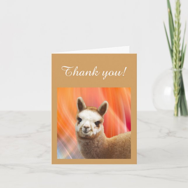 Thank You Note Cards Alpaca Rossi (Front)