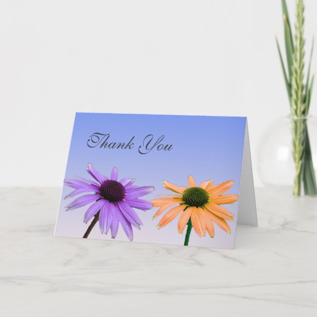 thank you note,daisy flowers card (Front)