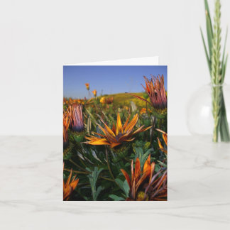 Thank you note: Field of Flowers Card