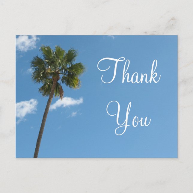 Thank You palm tree Postcard (Front)
