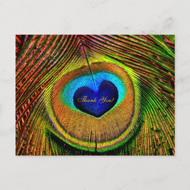 Thank You Peacock Feathers Eye of Love Postcard (Front)