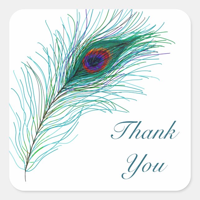 Thank You | Peacock Feathers Square Sticker (Front)