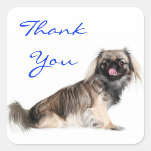 Thank You Pekingese Puppy Dog Greeting Sticker