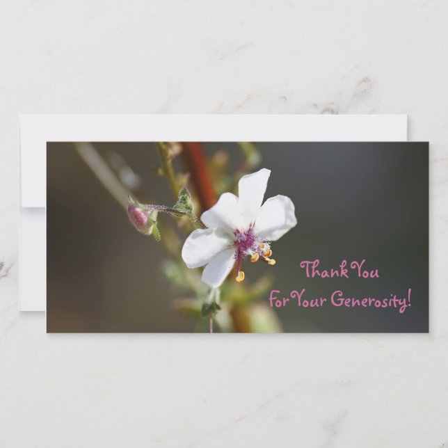 Thank You, Photo Card (Front)