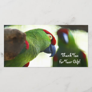 Thank You, Photo Card